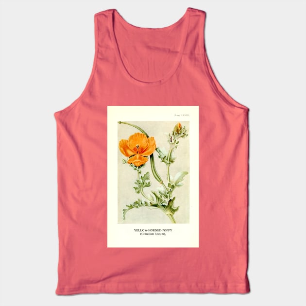 Yellow-horned Poppy Botanical Illustration Tank Top by chimakingthings